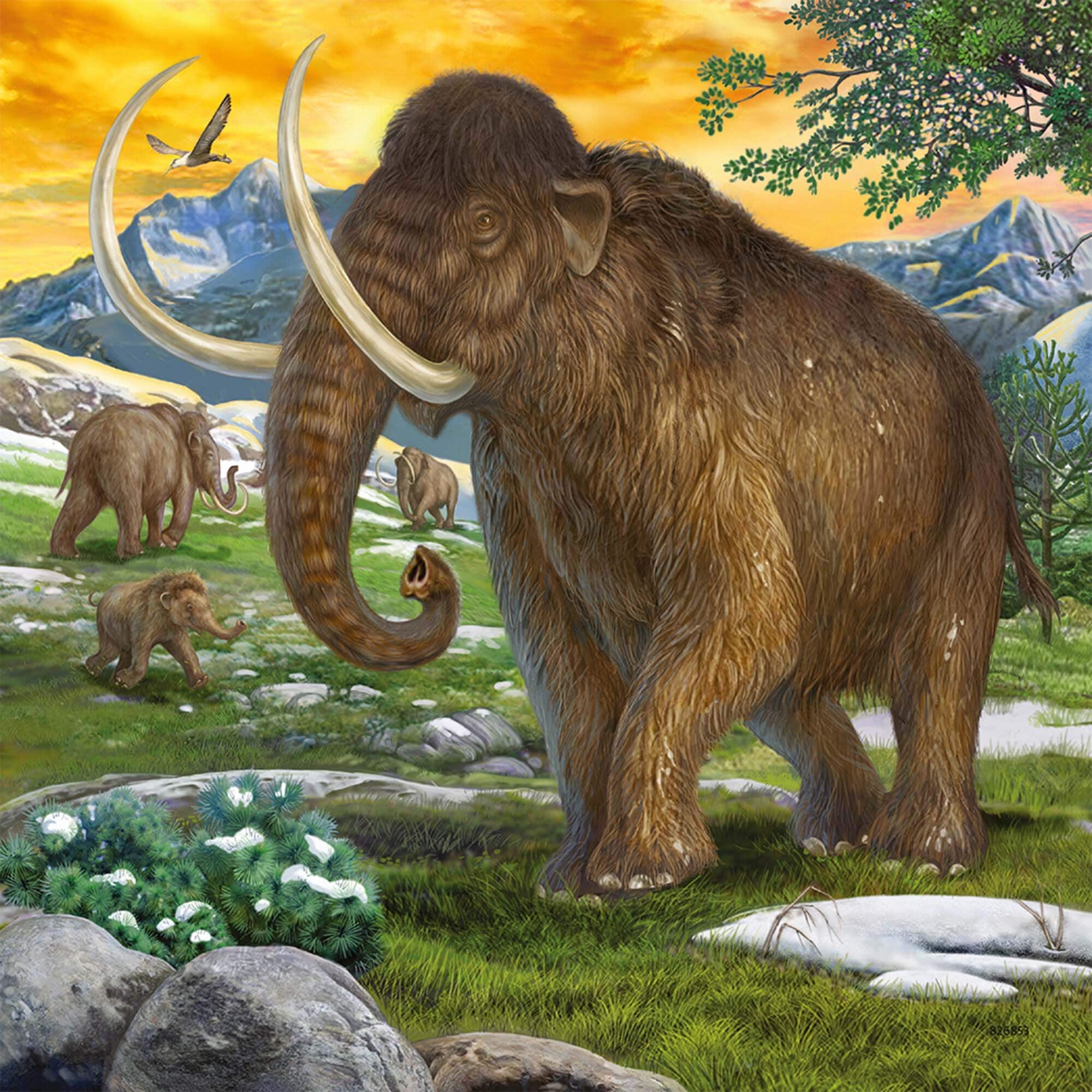 Ravensburger Puzzel - Prehistorische dieren 3x49 stukjes