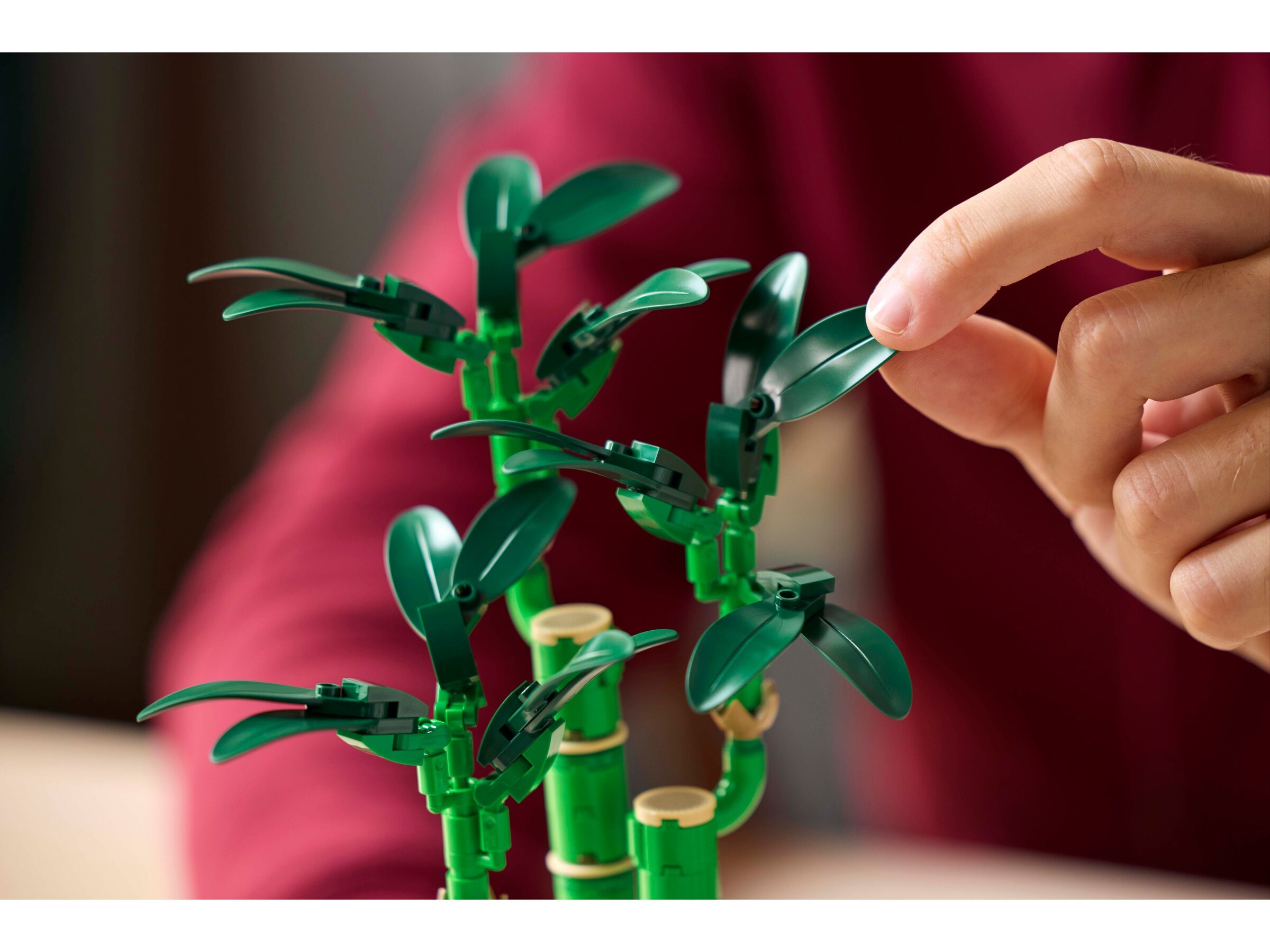 LEGO Botanical - Bamboe 18+