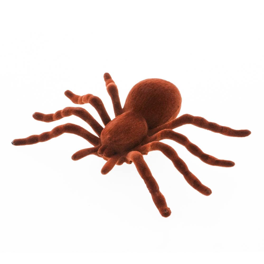 Bruine spin 18 cm