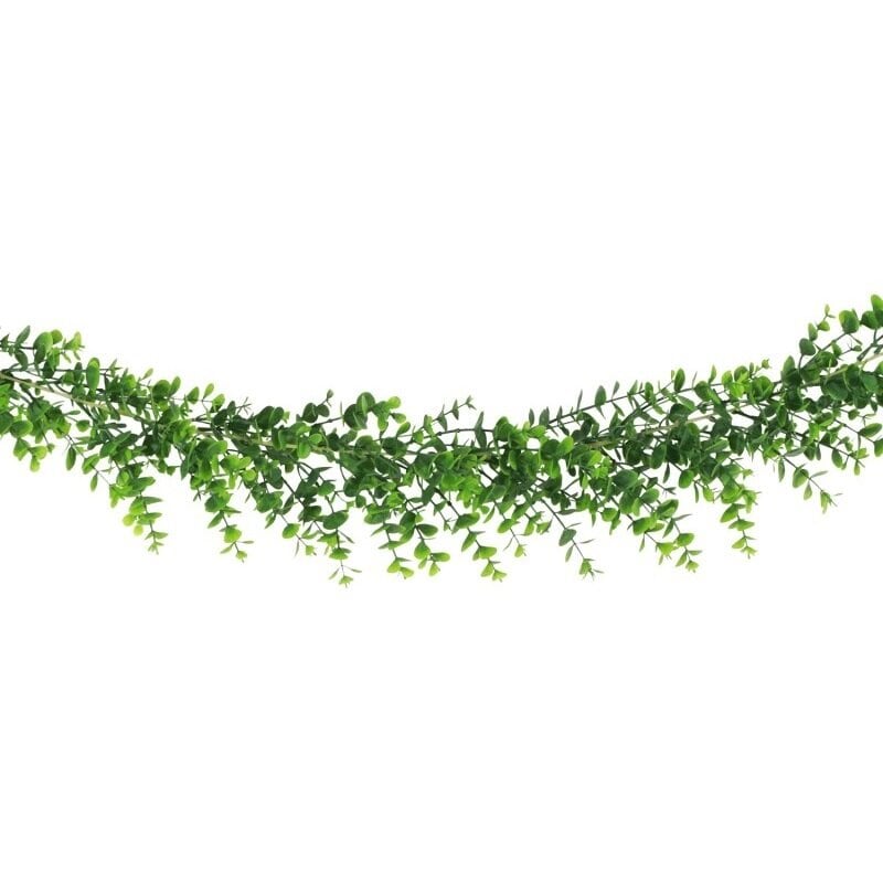 Eucalyptus Slinger 196 cm
