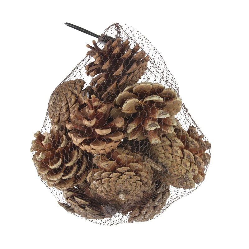 Natuurlijke dennenappels in net 4 cm
