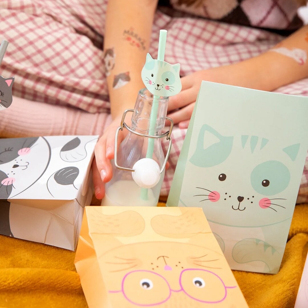 Katten Papieren Rietjes 6-pack