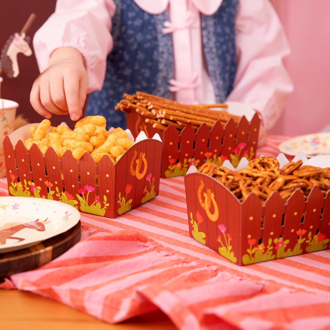 Paarden - Snackboxen 3 stuks