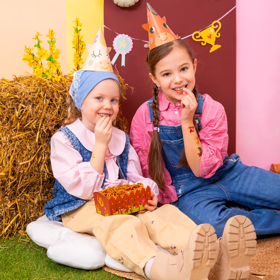 Paarden - Snackboxen 3 stuks