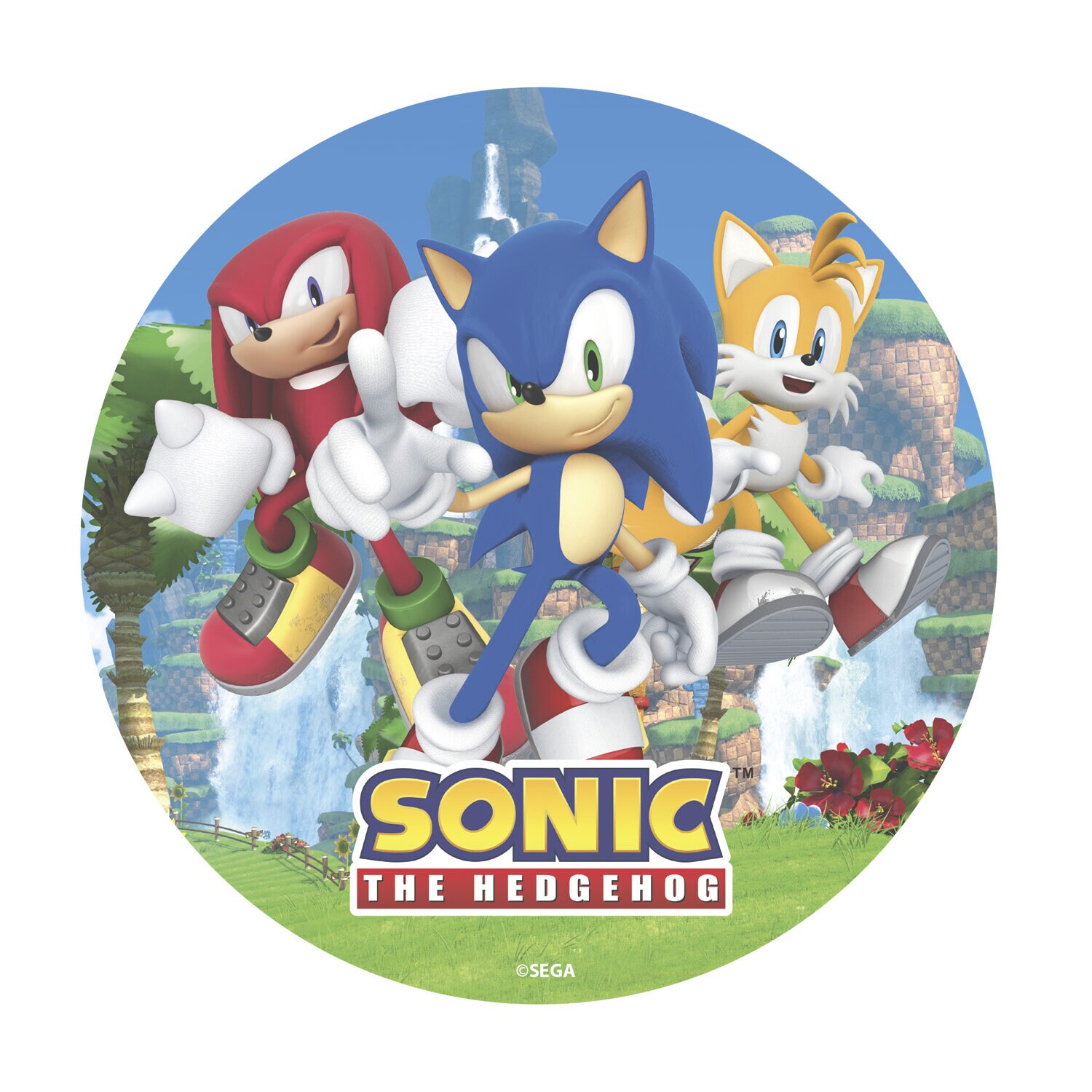 Taartprint Sonic the Hedgehog - Ouwel 20 cm