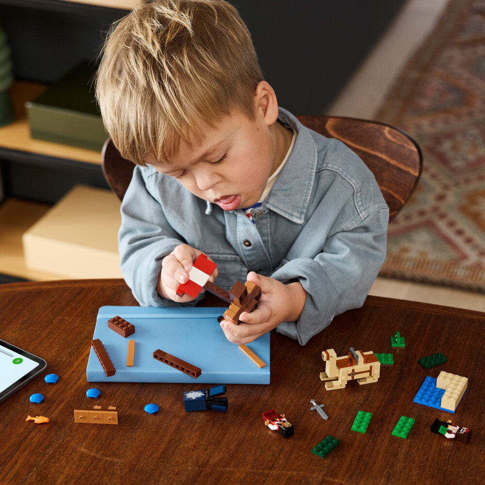 LEGO Minecraft - De piratenschipreis 8+
