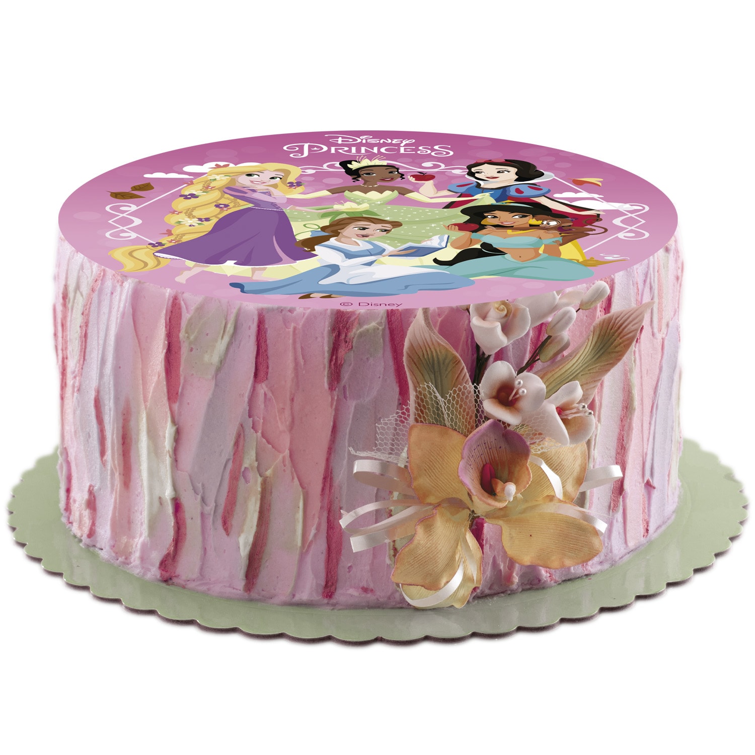 Taartprint Disney Prinsessen - Suikervrije fondant 15,5 cm