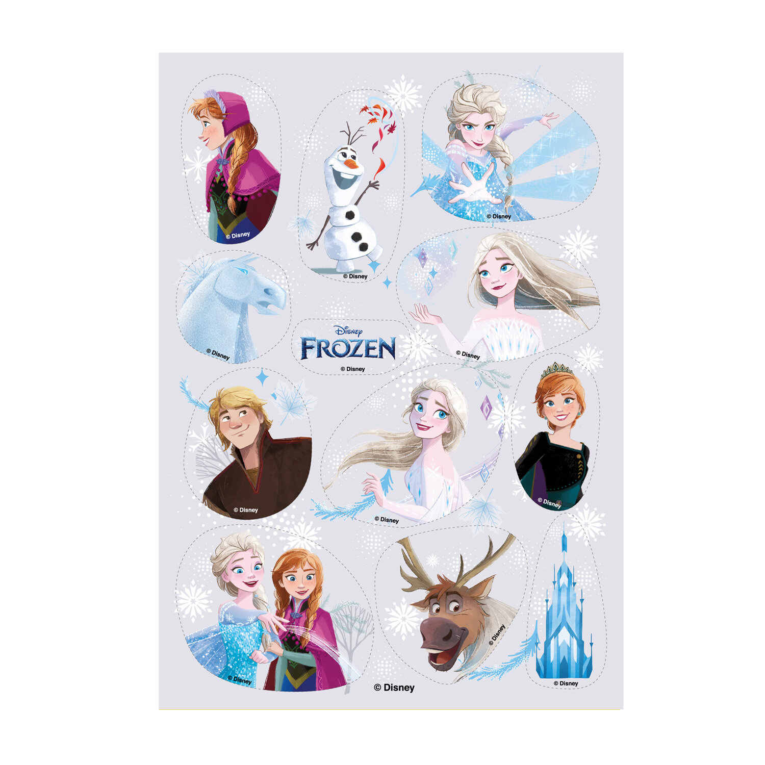 Disney Frozen Suikerdecoraties 12 stuks