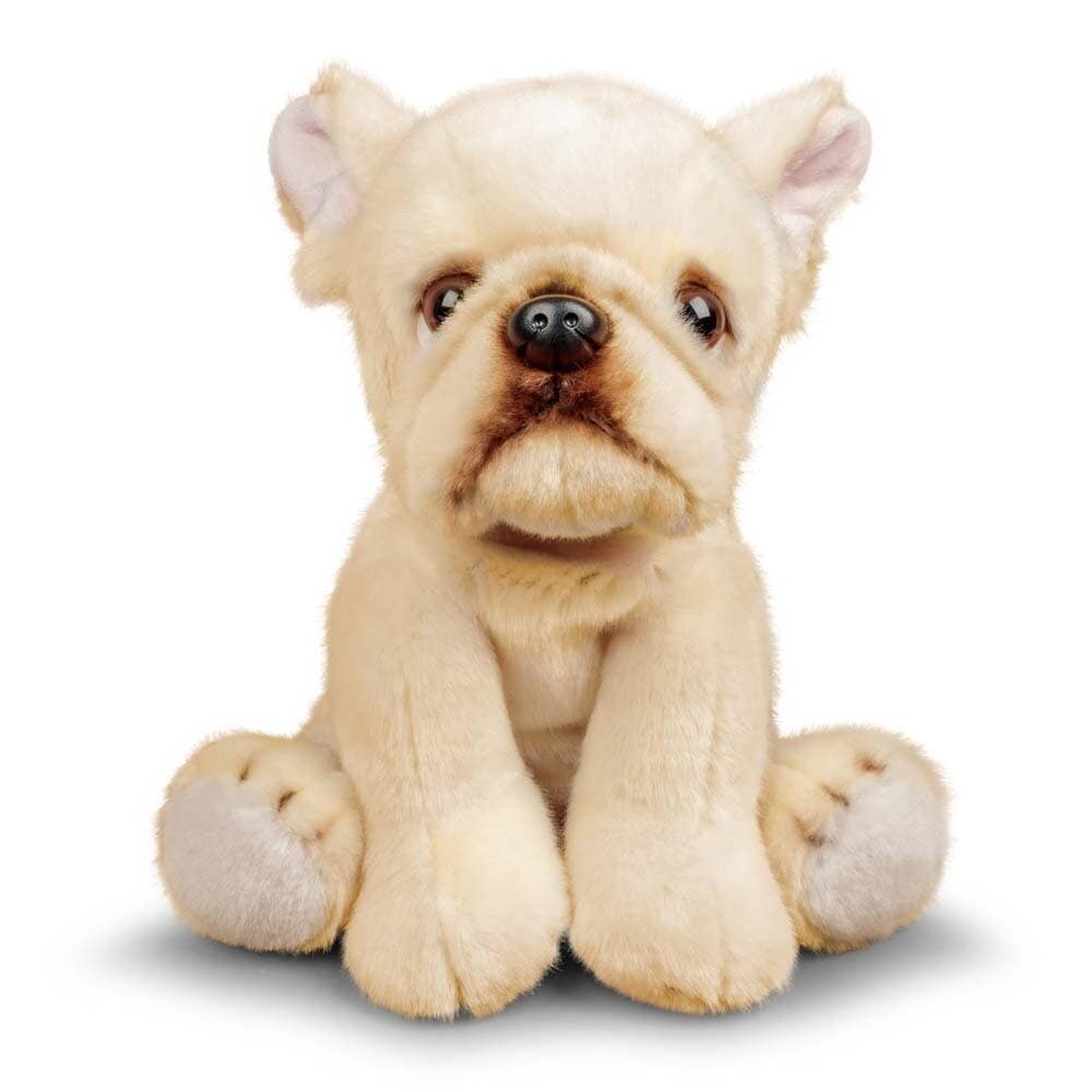 Animigos World of Nature - Franse Bulldog 23 cm