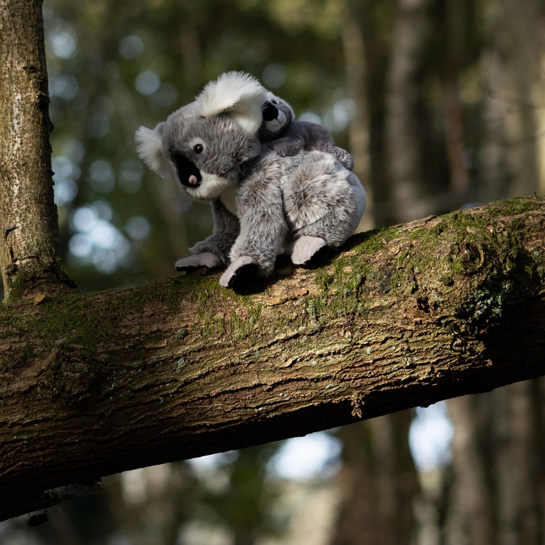Animigos World of Nature Koala met baby 25 cm
