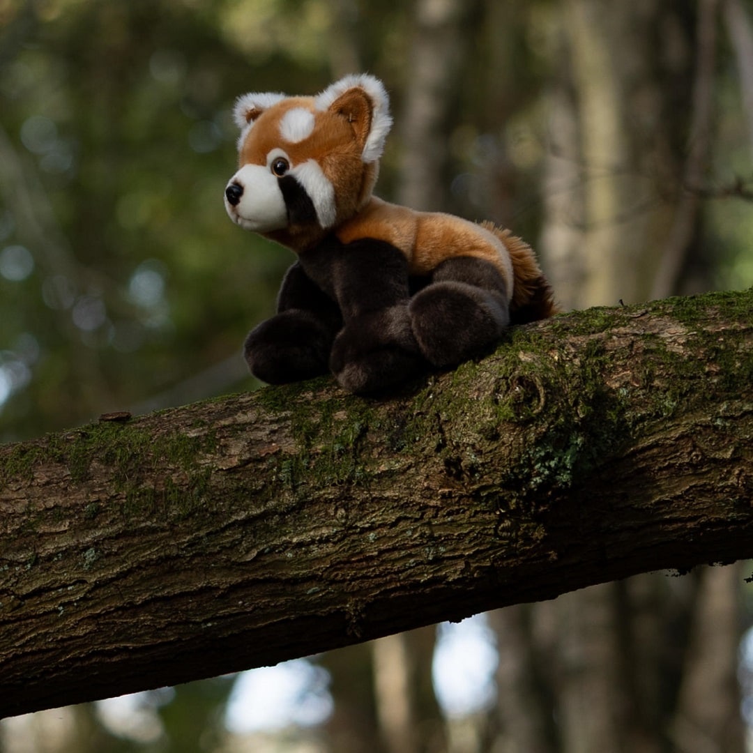 Animigos World of Nature Rode Panda 26 cm