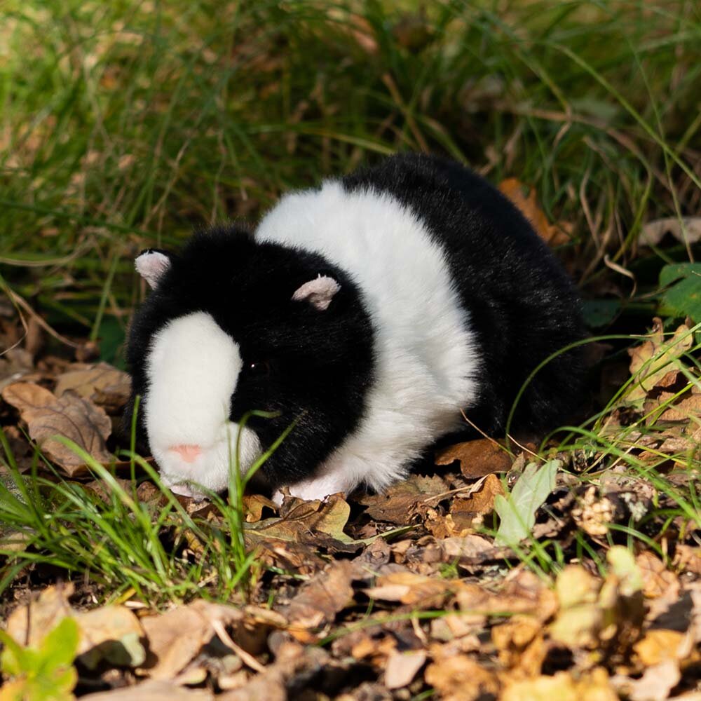 Animigos World of Nature - Cavia 21 cm