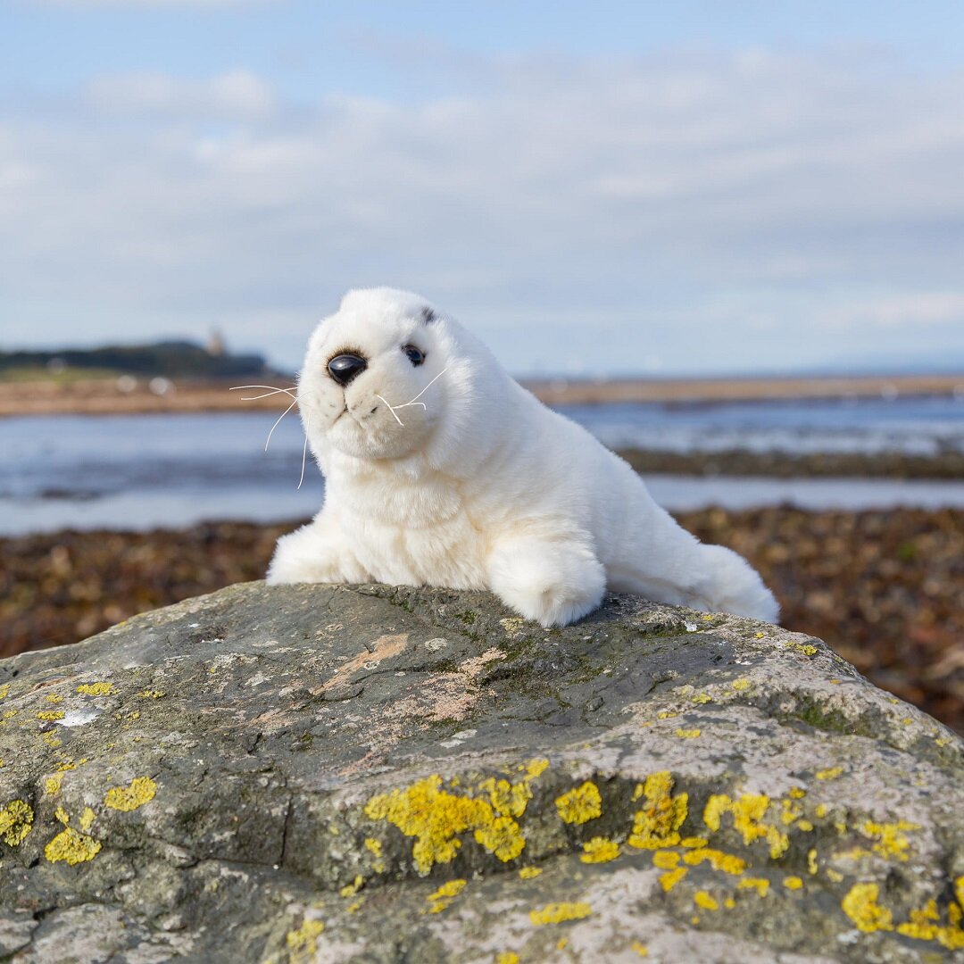 Animigos World of Nature Zeehondenpup 23 cm