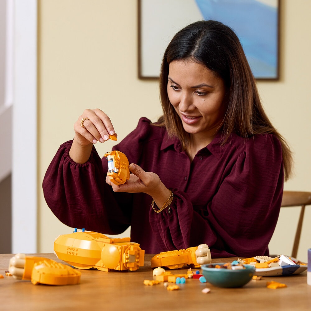 LEGO Disney - Jonge Simba de Leeuwenkoning 18+
