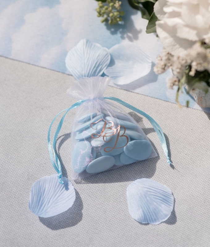Baby Boy - Organza zakjes 6 stuks