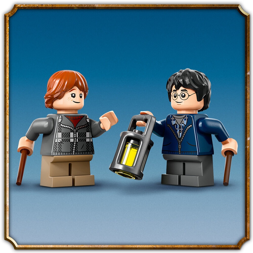 LEGO Harry Potter - Aragog in het Verboden Bos 7+