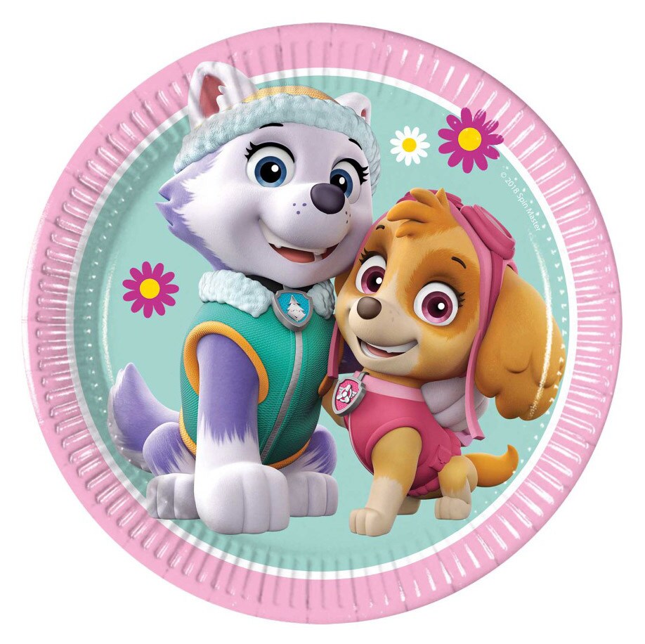 Paw Patrol Skye & Everest - Papieren Bordjes 8 stuks