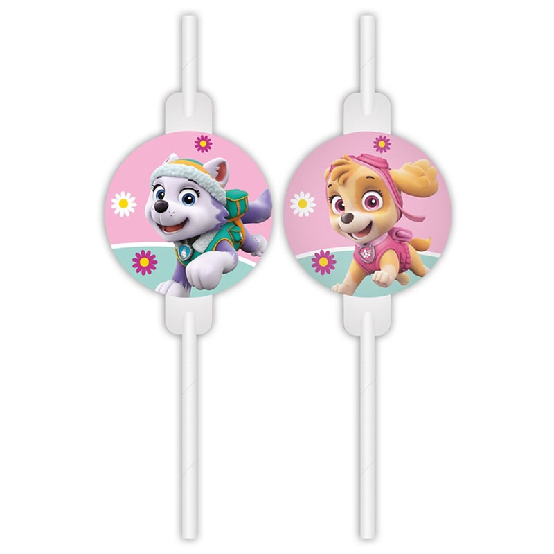 Paw Patrol Skye - Papieren rietjes 4 stuks