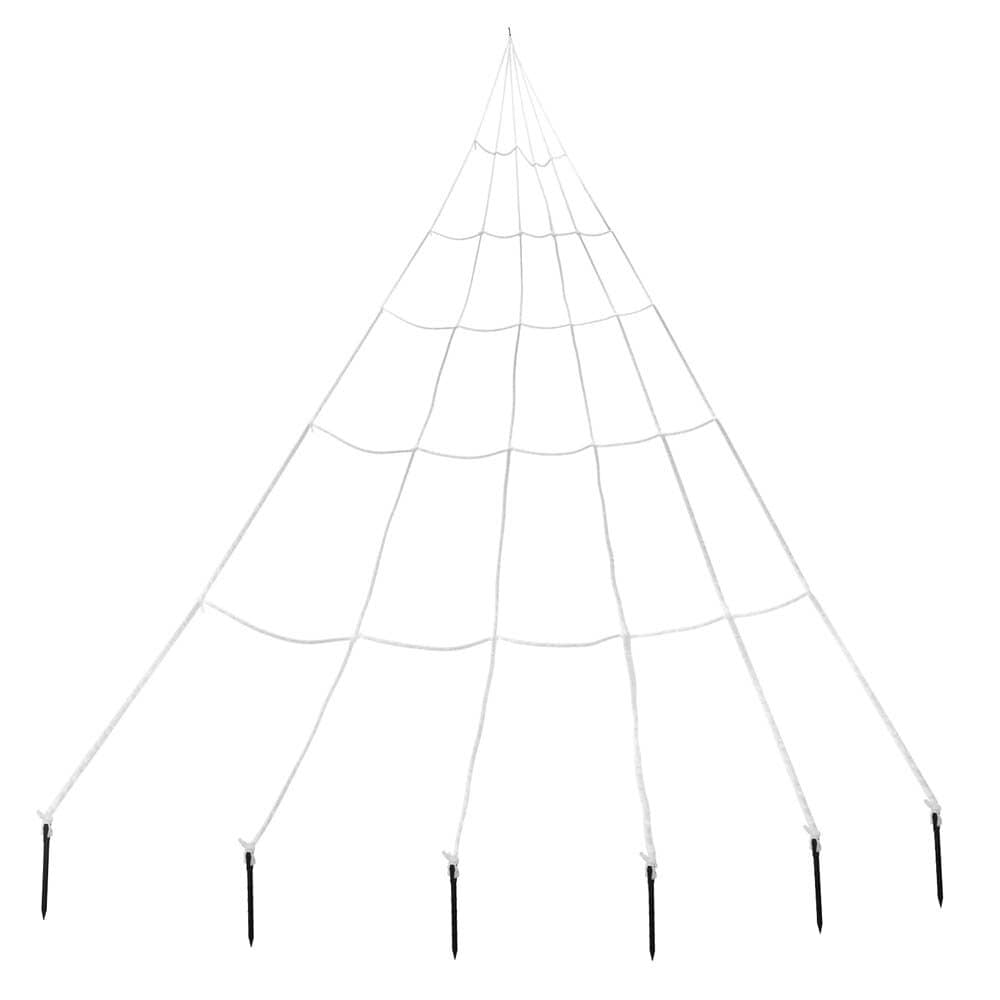 Grote Spinnenweb 3 meter