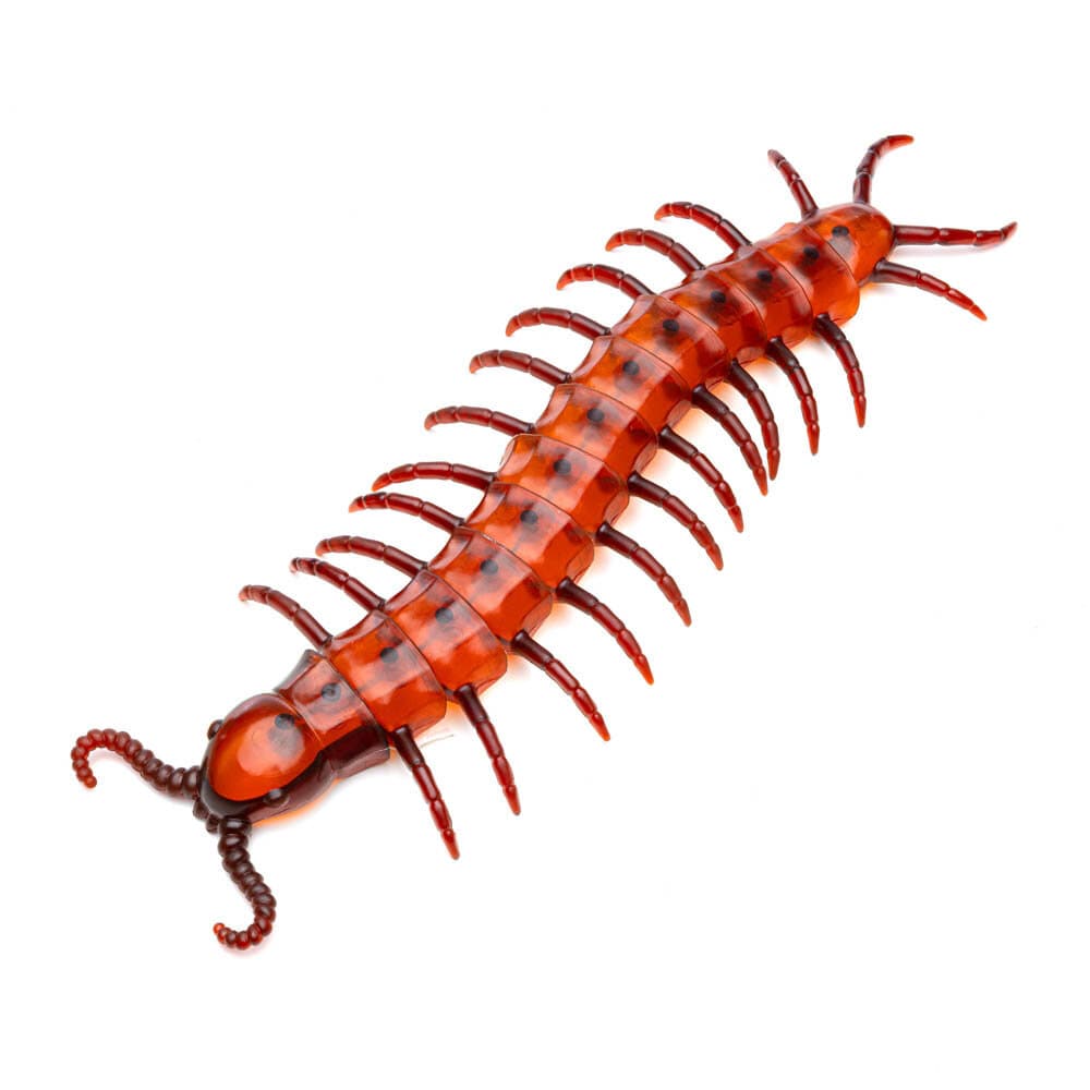 Grote Duizendpoot 45 cm