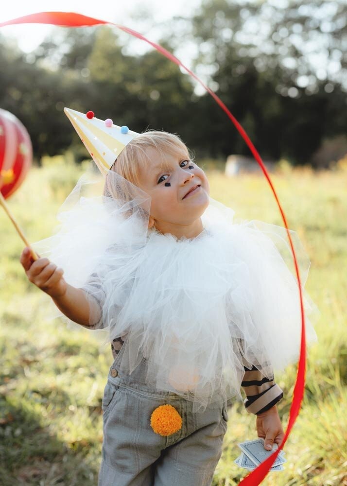 Circus Feesthoedjes 6 stuks