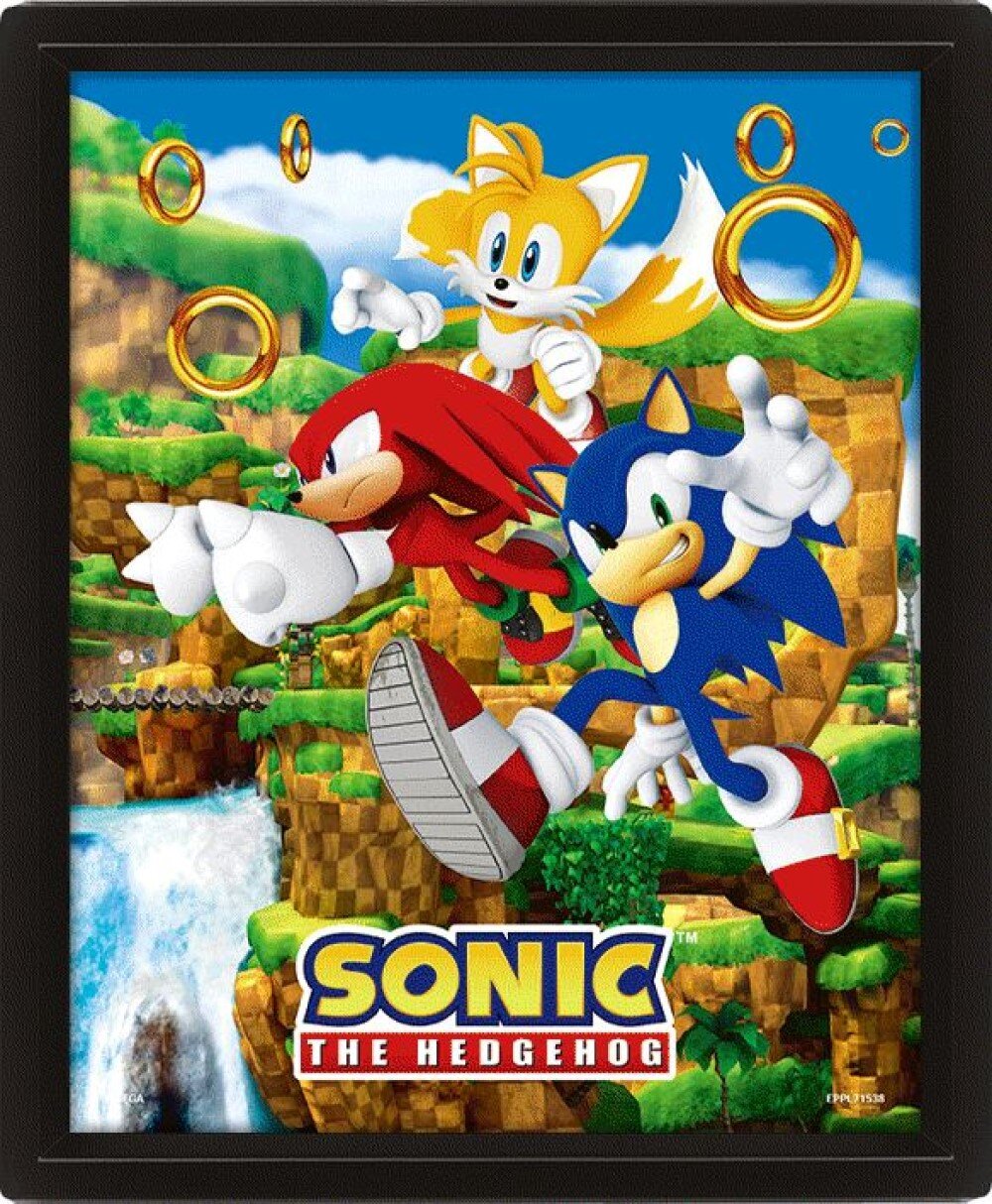 Sonic the Hedgehog - 3D Schilderij