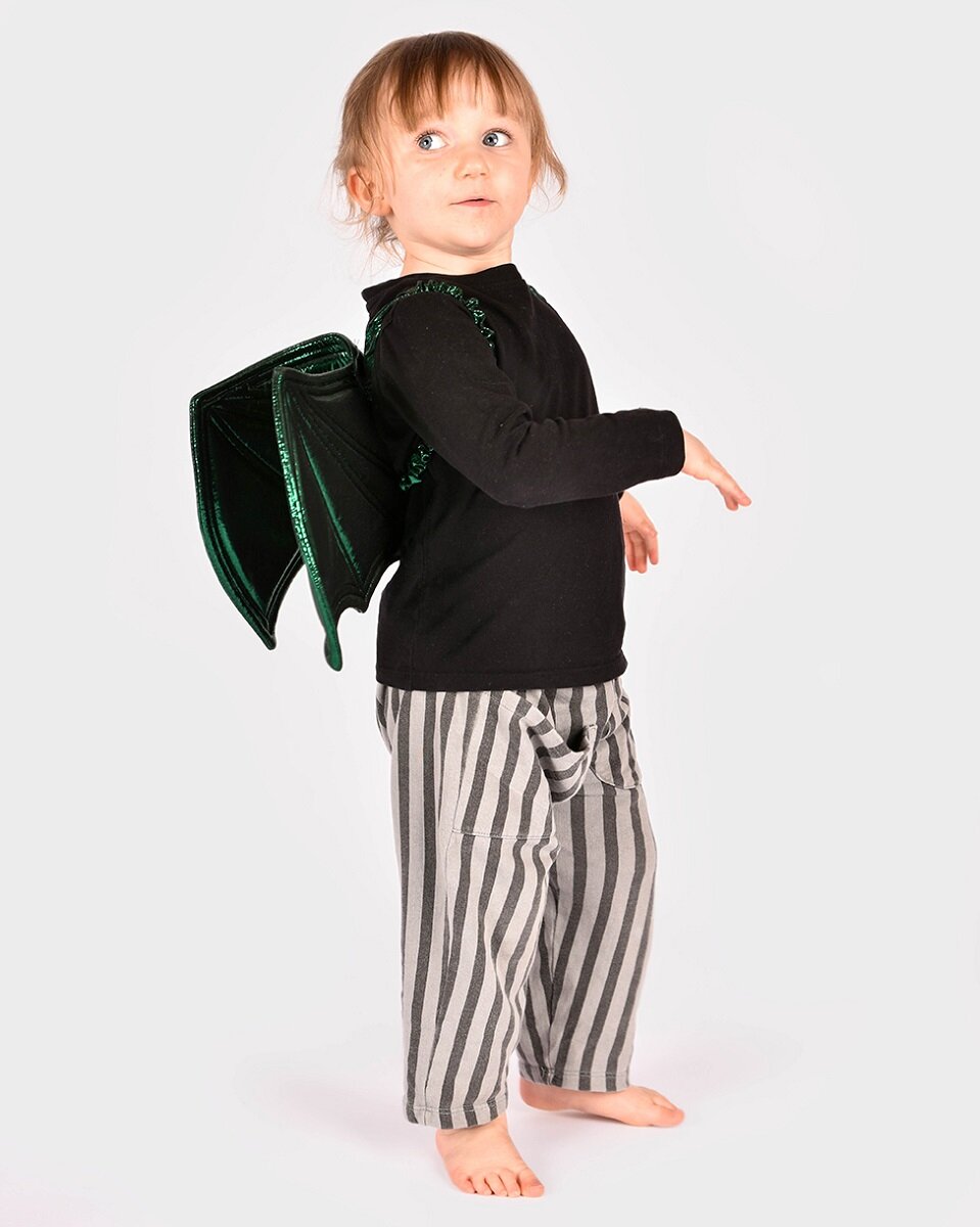 Groene Draakvleugels Kindermaat 30 cm