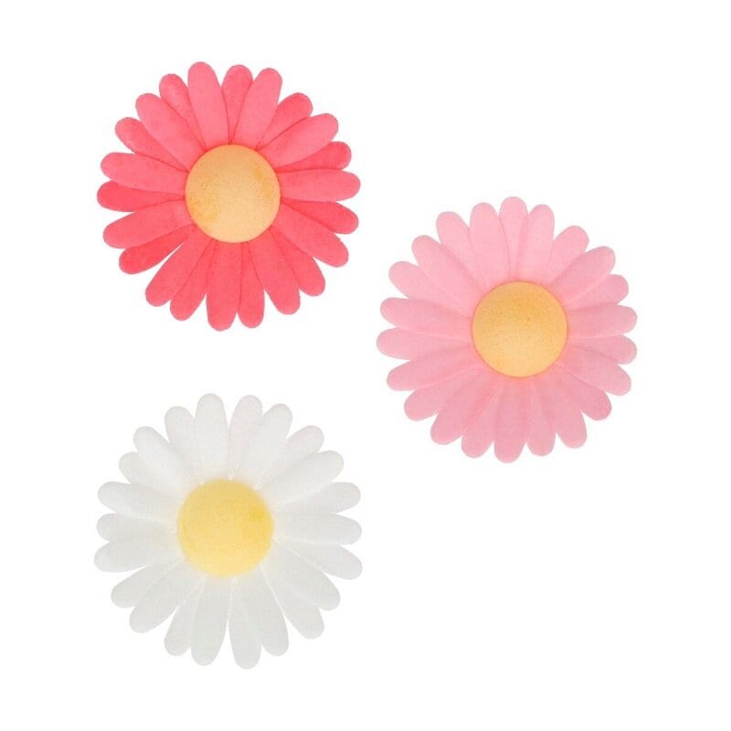 FunCakes - Eetbare Oblaatbloemen, Daisy 13 stuks