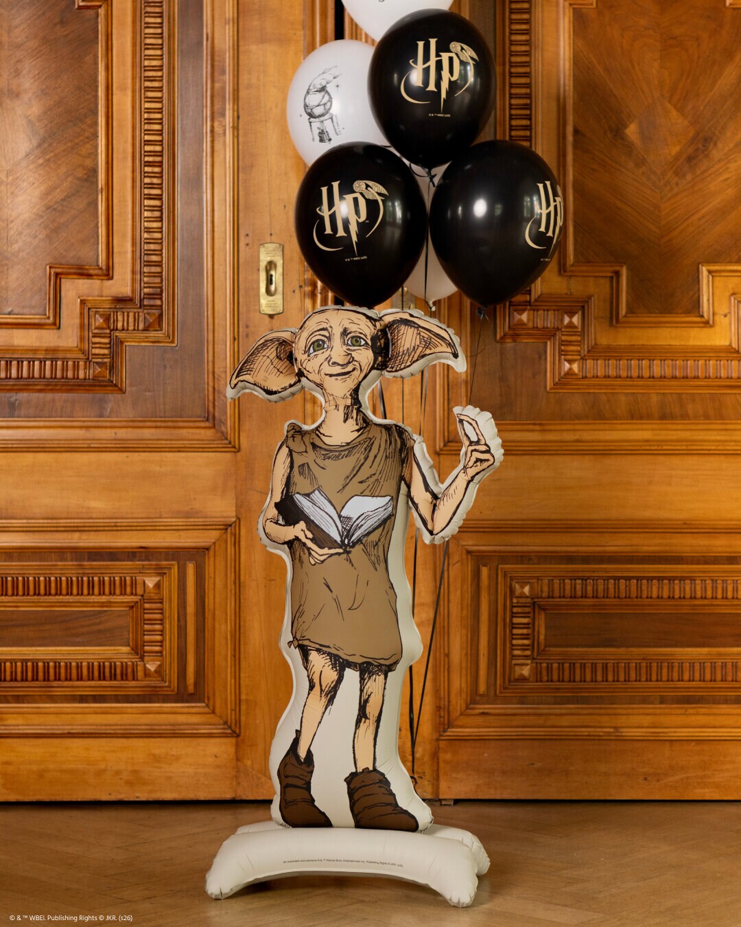 Harry Potter Dobby Folieballon 105 cm