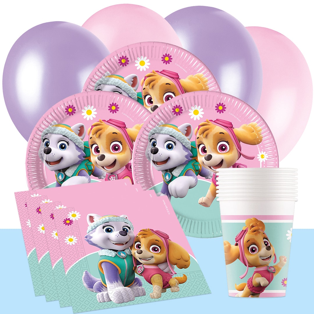 Paw Patrol Skye - Feestpakket 8-16 personen