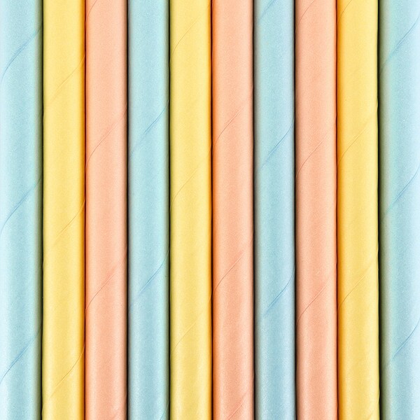 Kartonnen rietjes - Pastelkleuren 10 stuks