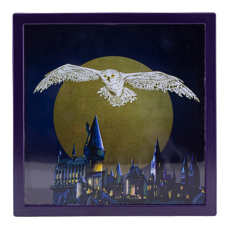 Harry Potter - Spaarpot Hedwig