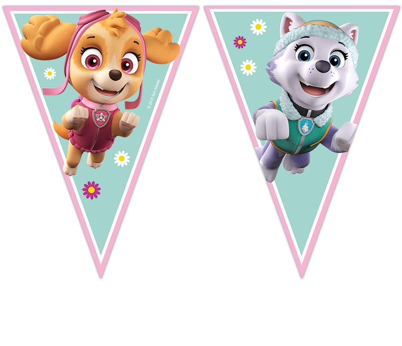 Paw Patrol Skye & Everest - Vlaggenlijn 230 cm