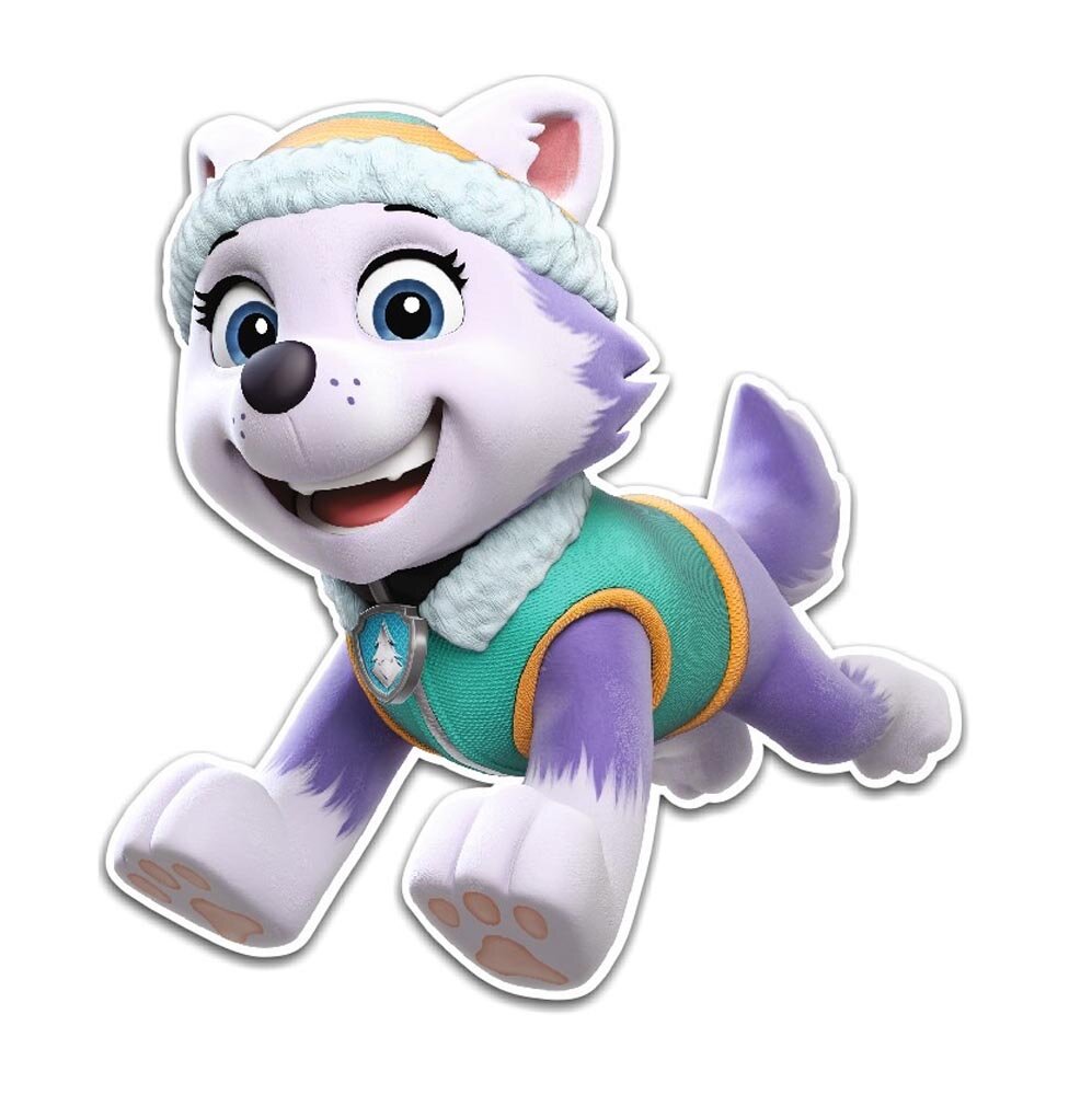 Paw Patrol 3D muurdecoratie - Everest