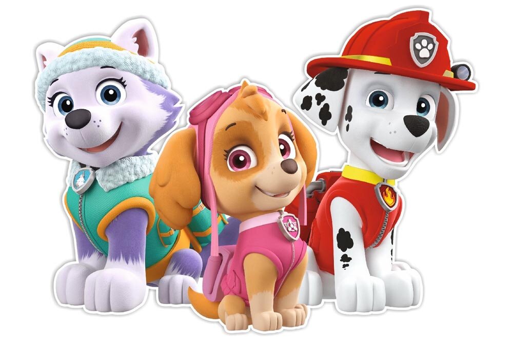 Paw Patrol 3D muurdecoratie - Skye, Everest & Marshall