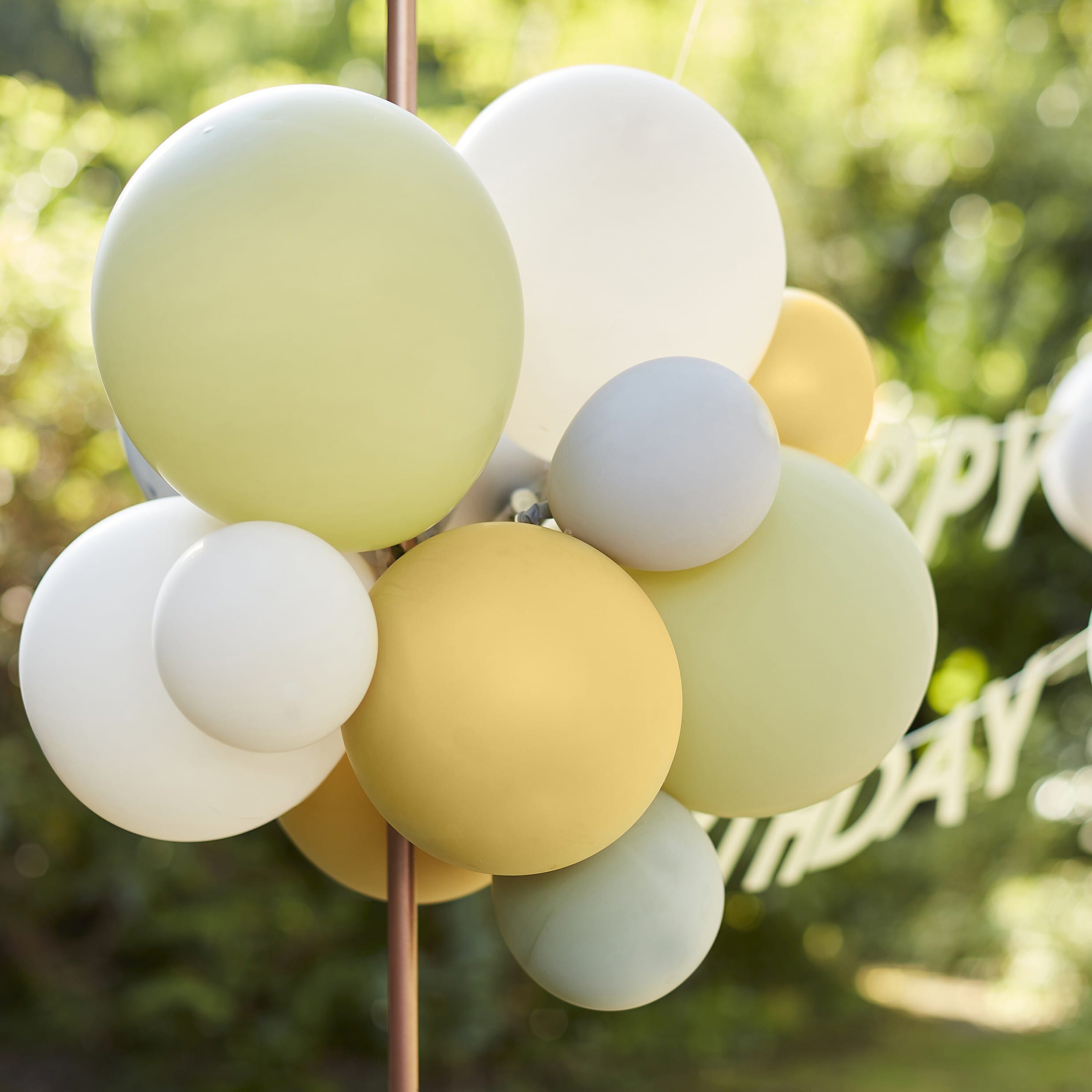 Let's Go Wild - Happy Birthday slinger met ballonnen